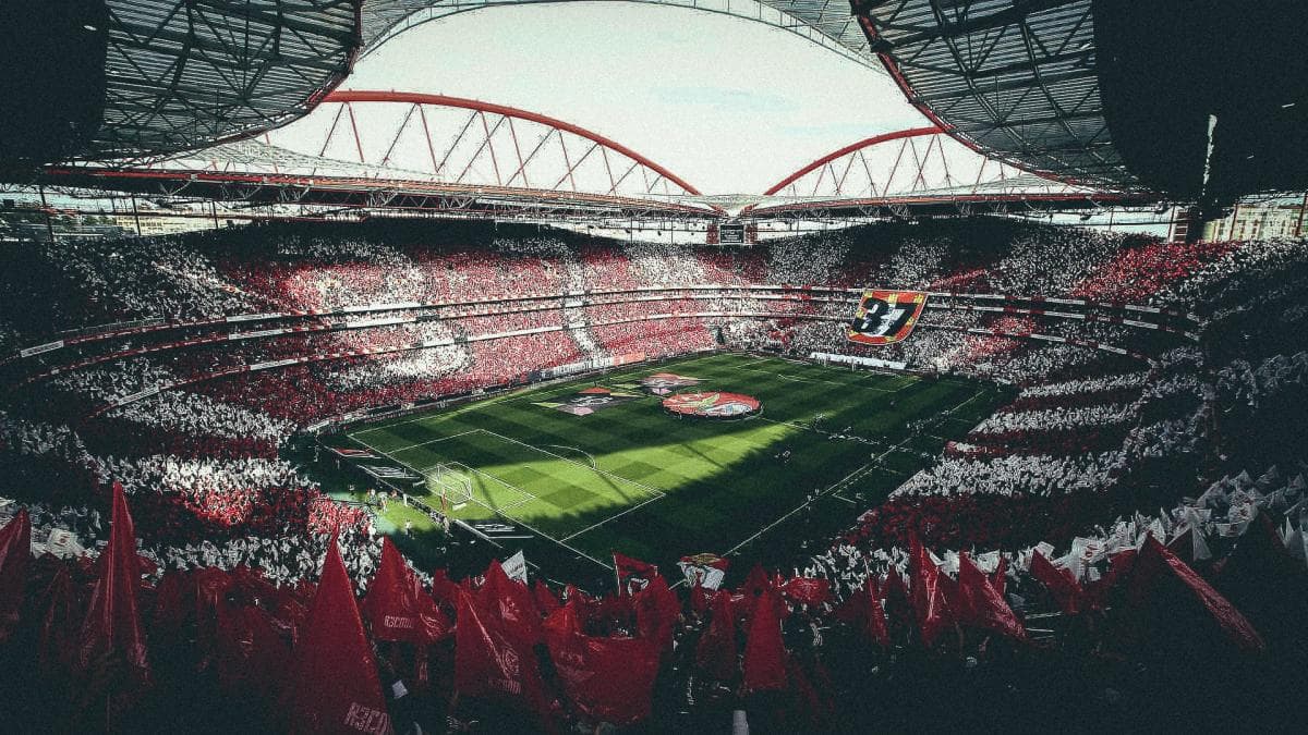 Benfica bannit 5 supporters après un scandale de racisme en LDC