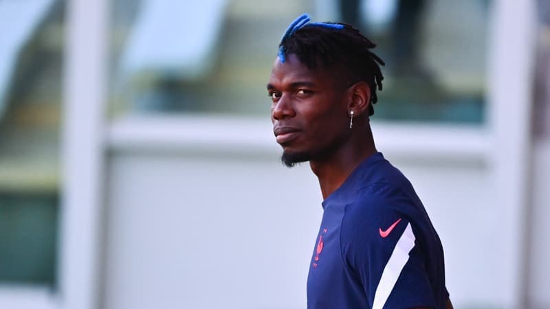 Paul Pogba : le destin fracassé de 'La Pioche' française
